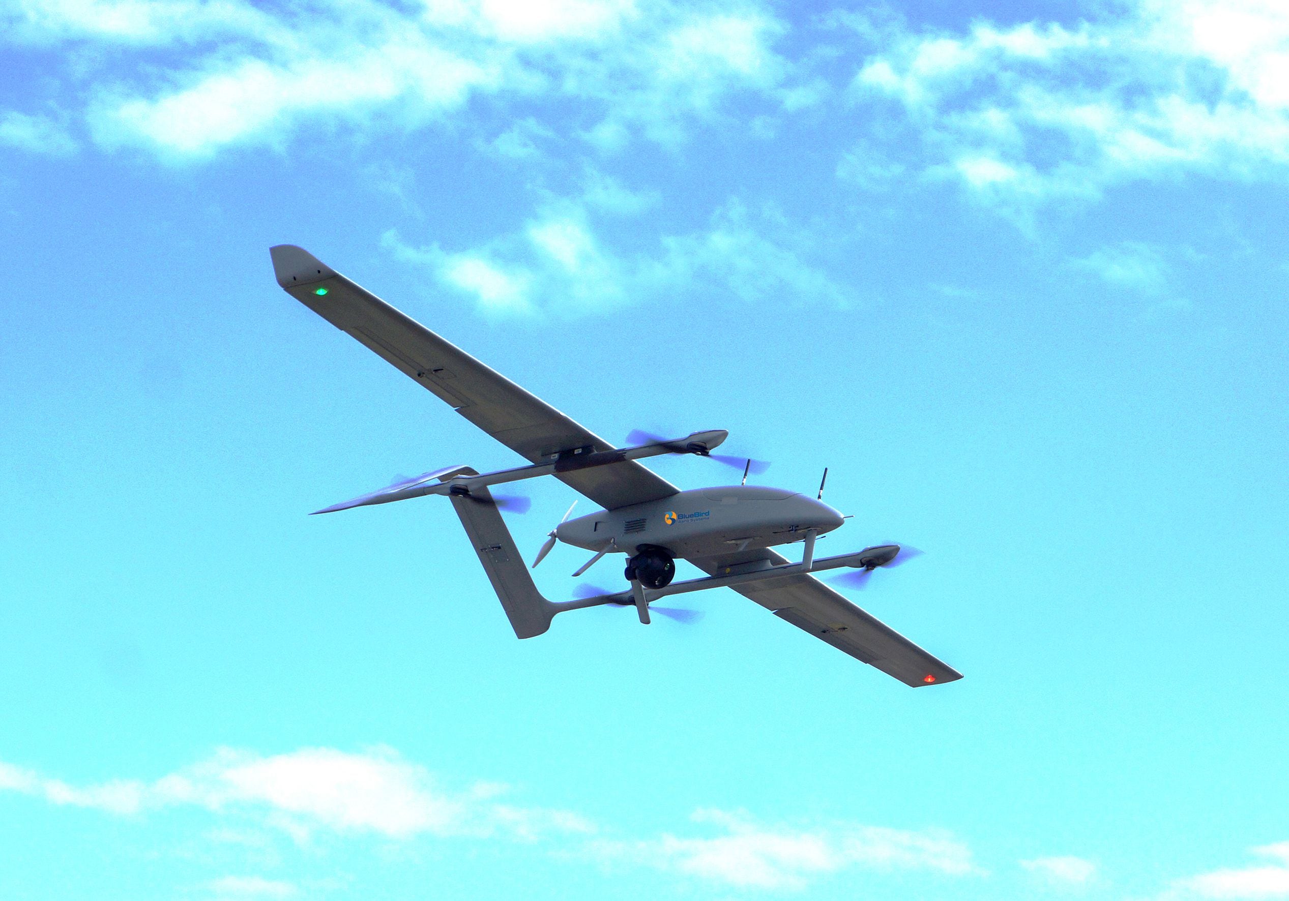 Blue discount bird drone